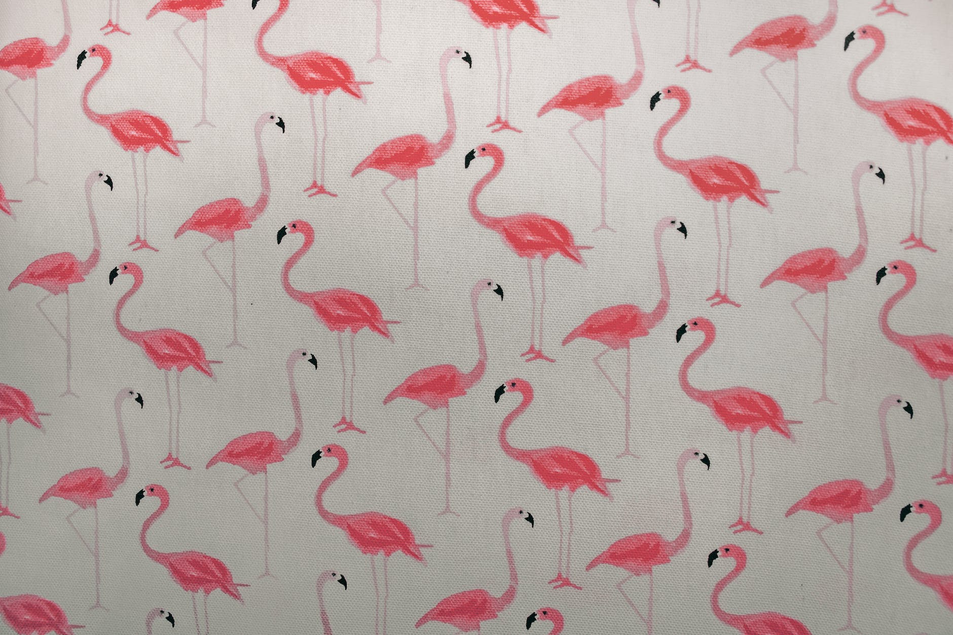 pink flamingo printed paper